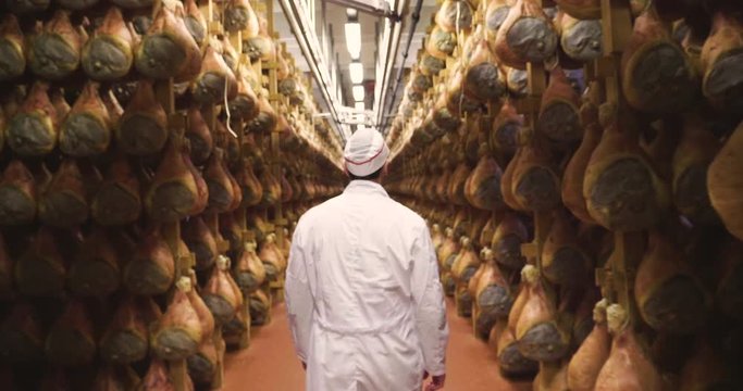 In a ham factory, a man in charge of quality control walks between the hams and controls, the perfume and the certified Italian quality. Concept of: tradition, Italy, food, ham
