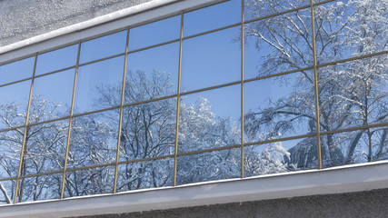 Winter landscape reflected in the window