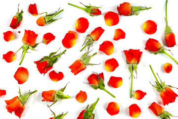 red roses on wooden board, Valentines Day background.