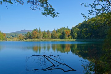 Fototapeta na wymiar Reflection of the autumn foliage on the lake in Plitvice Lakes National Park, Croatia