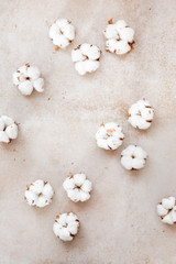 Organic cotton balls scattered on  concrete. Top view, blank space, flat lay