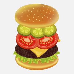 Hamburger isolated on white