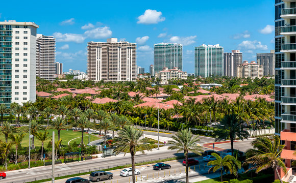 Miami city urban view with palms and houses in daytime, Florida, USA
