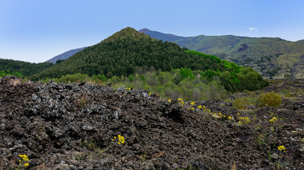 Etna, Sycylia, Włochy © TOP67