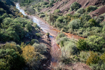 une rivière au fond d'un canyon avec des arbustes