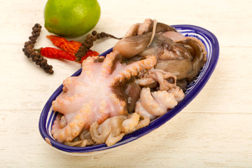 Raw octopus