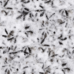 seamless traces of birds in the dirty snow. pattern, background.