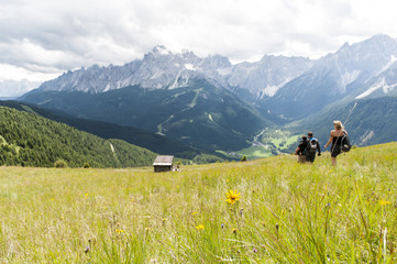 tourists descend to the valley from the mountains of the Alps among green meadows with flowers
