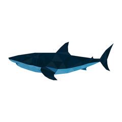 Fototapeta premium Shark. Vector. Low poly style.