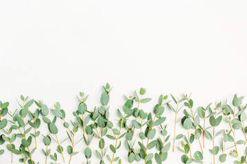 Eucalyptus branch on white background. Flat lay, top view minimal concept.
