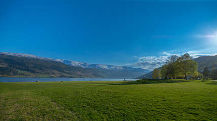 a green meadow near a blue lake in Voss