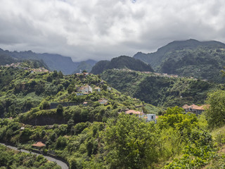 Laurissilva Forest Madeira