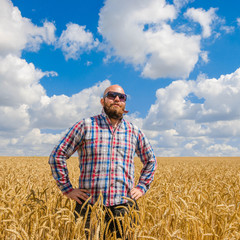 Naklejka na ściany i meble hairless farmer in glasses standing in a wheat field and talking on phone