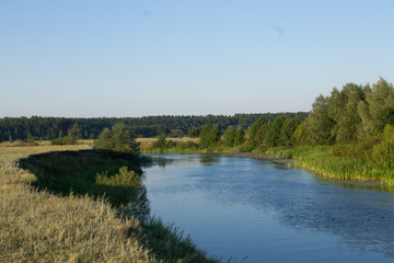 Речной пейзаж