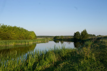 Речной пейзаж