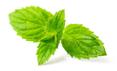 fresh peppermint leaves isolated on white