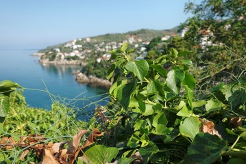 Fototapety na wymiar - Fototapeta24.pl