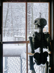Odd photo of a skeleton looking out a window at a snowy landscape