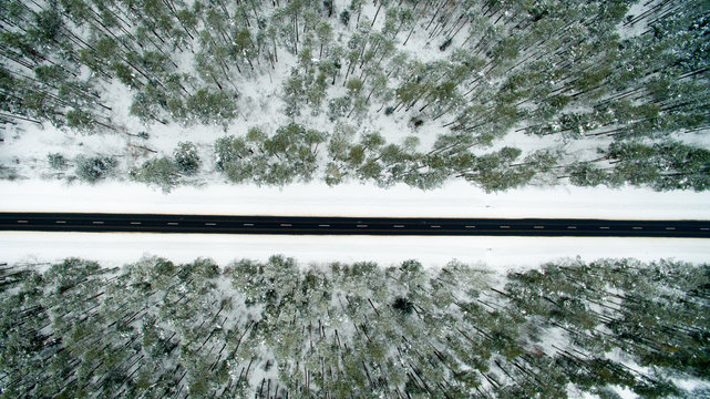 Winter forest and asphalt road. View from above. The photo was taken with a drone. Pine and fir forest in the snow