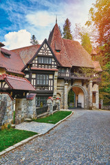 Fototapeta premium Buildings in Sinaia