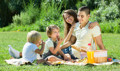 Family of four on picnic