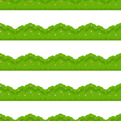 Seamless pattern of bush with pink and red flowers, isolated on white background, in flat style. Vector illustration of hedge.