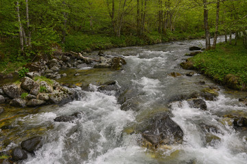Torrent d'écume dans les Pyrénées ariégeoises, département de l'Ariège en région Occitanie, France