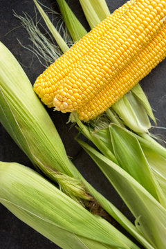 Fresh corn cobs.