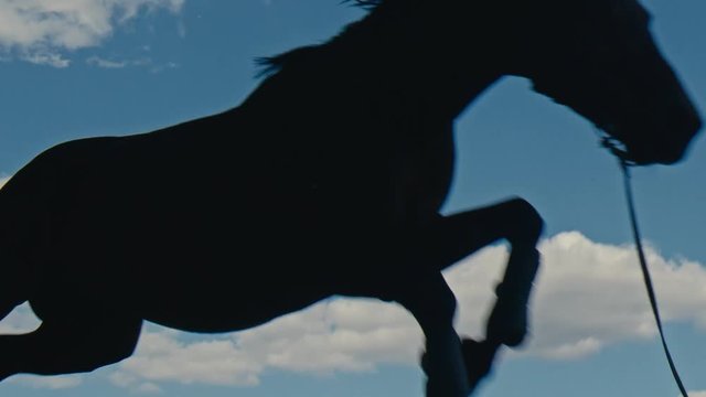 Black horse puffs through an obstacle