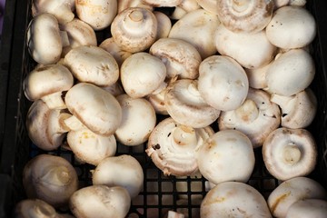 Organic mushrooms at a bio shop.Selective focus.