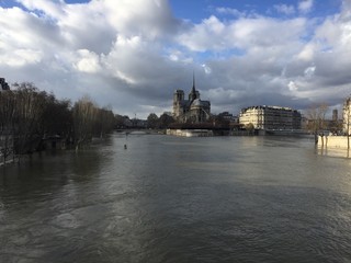 Fototapeta premium crue