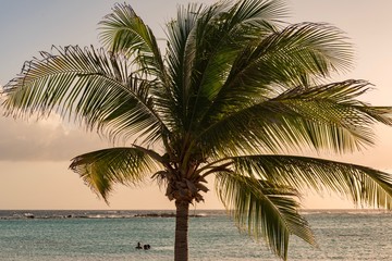 extraordinary sunset on the caribbean with palm trees and white beaches