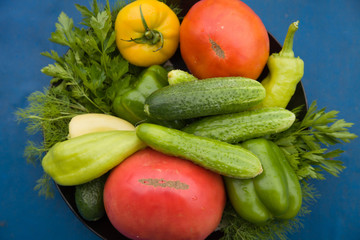 Closeup of organic garden vegetables on plate: tomatoes, cucumbers, paprika, herbs. Healthy eating. Cooking at home.