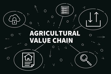 Obraz premium Conceptual business illustration with the words agricultural value chain