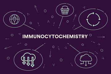 Conceptual business illustration with the words immunocytochemistry