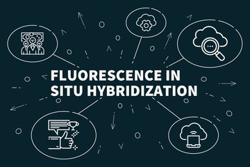 Conceptual business illustration with the words fluorescence in situ hybridization