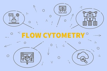 Conceptual business illustration with the words flow cytometry