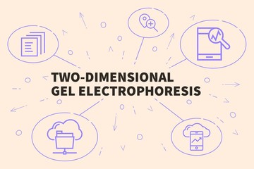 Conceptual business illustration with the words two-dimensional gel electrophoresis