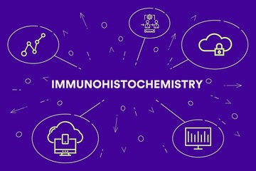 Conceptual business illustration with the words immunohistochemistry