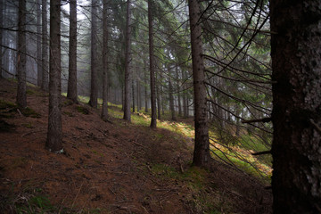 Typical beautiful landscape in Dolomites