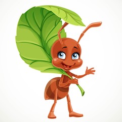 Cute cartoon ant uses green leaf of the tree as an umbrella isolated on a white background