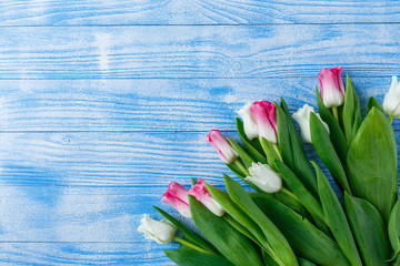 Tulips with macaroons on blue wooden background