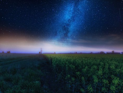 Nigh landscape with starry sky over field of blooming rape seed