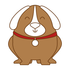 cute dog with necklace vector illustration design