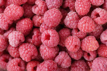raw fresh raspberries