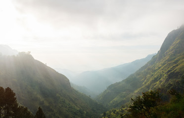 Ella gap views