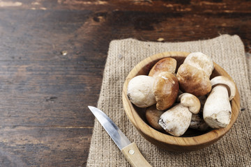 Mushroom Boletus on burlap