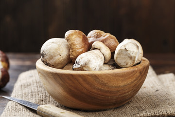 Mushroom Boletus in a wooden bowl