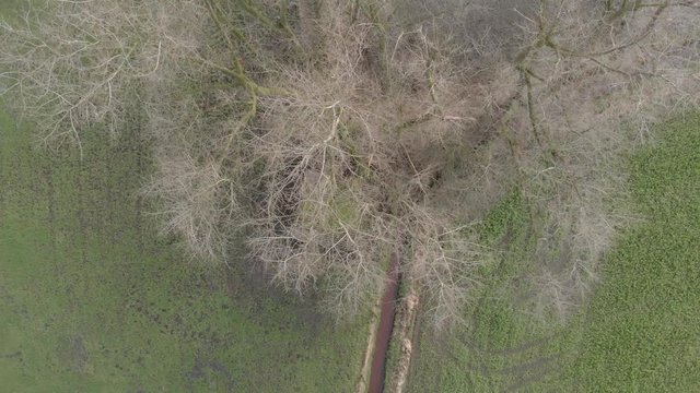 Agriculture Aerial Of Farm Land 