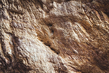 rock texture background with bird nest